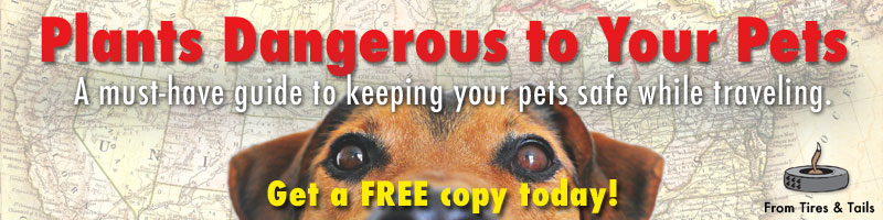 Get your copy of our FREE pet safety guide