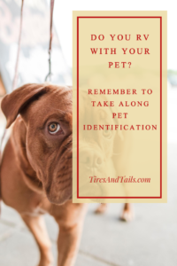 Pet identification