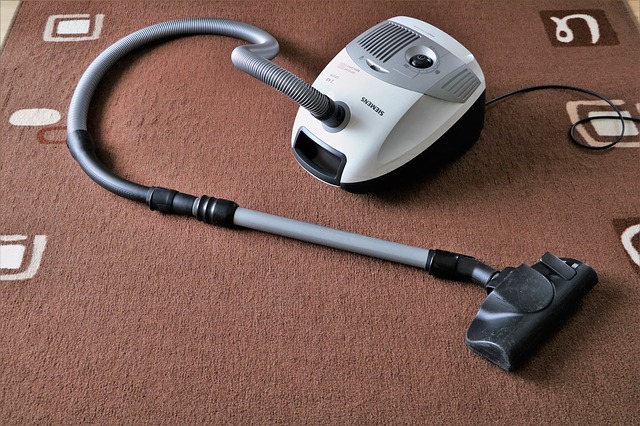 Vacuum your house regularly to prevent fleas, eggs or larvae from infesting your home.